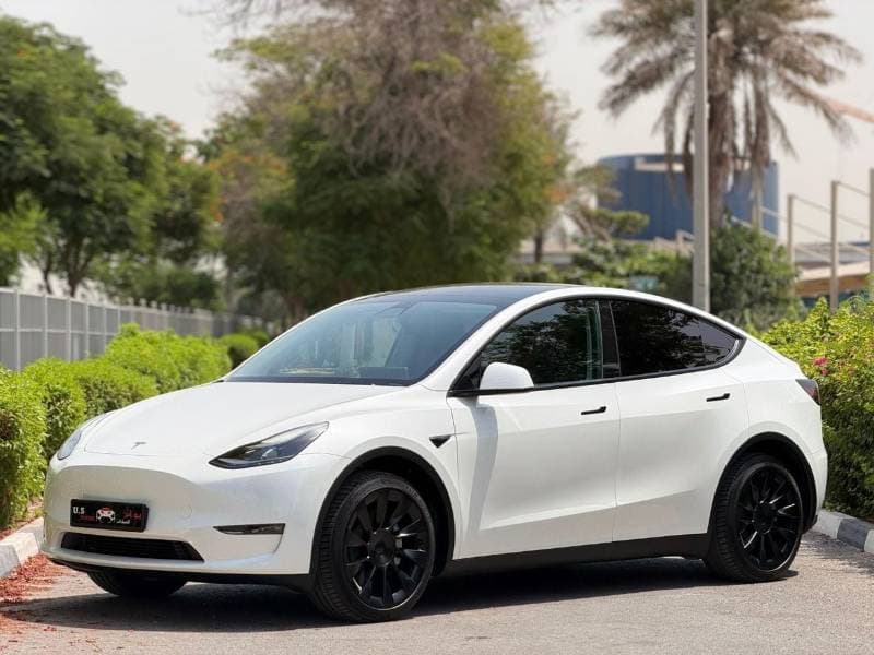 2022 Tesla Model Y LONG RANGE thumbnail 2