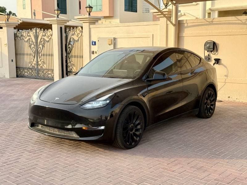2024 Tesla Model Y LONG RANGE thumbnail 2