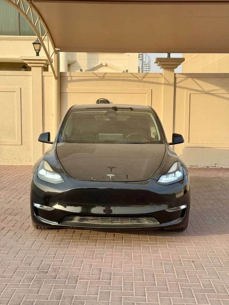 2024 Tesla Model Y LONG RANGE thumbnail 3