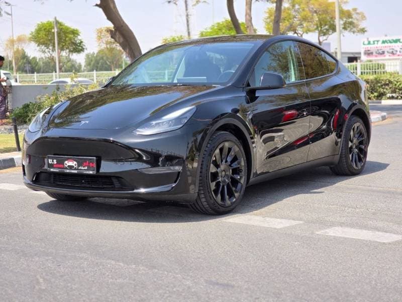 2022 Tesla Model Y LONG RANGE thumbnail 2