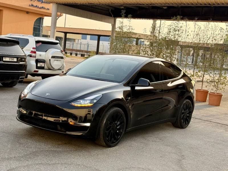 2024 Tesla Model Y LONG RANGE thumbnail 2