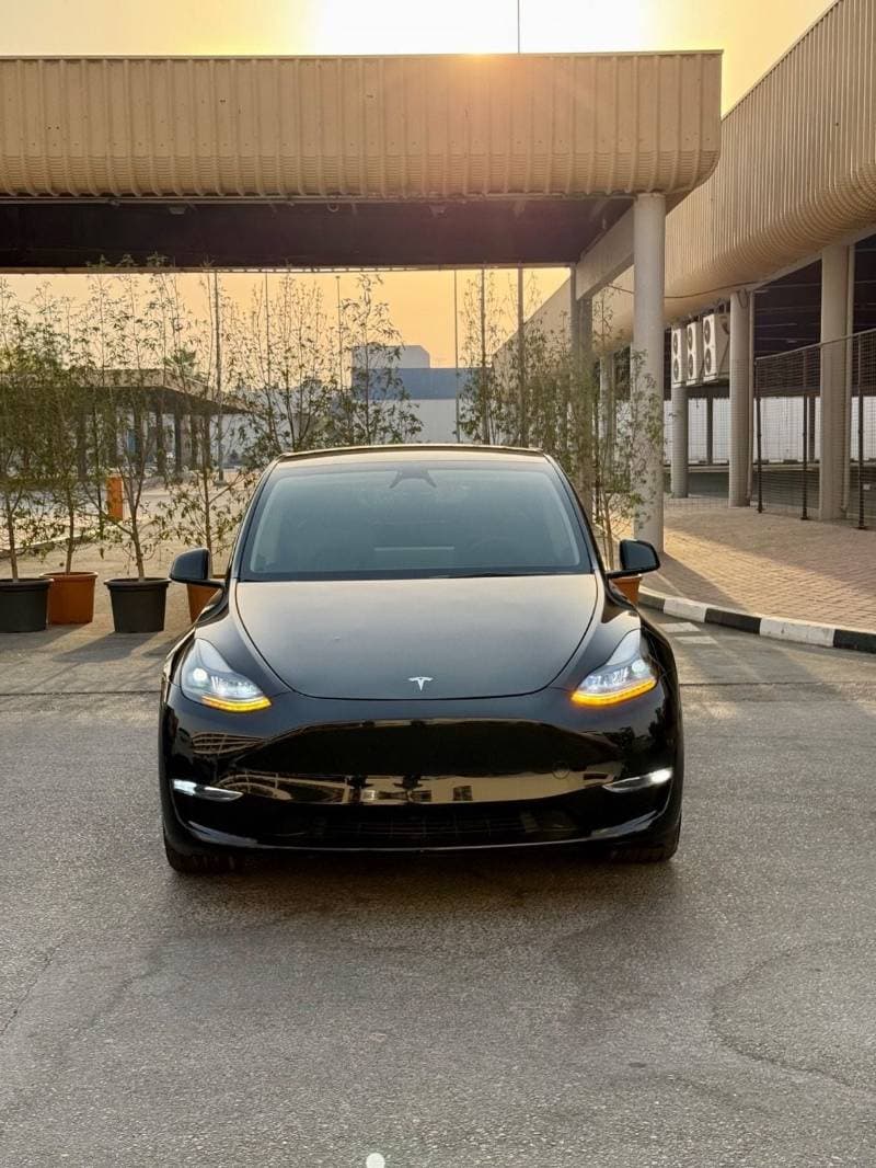 2024 Tesla Model Y LONG RANGE thumbnail 3