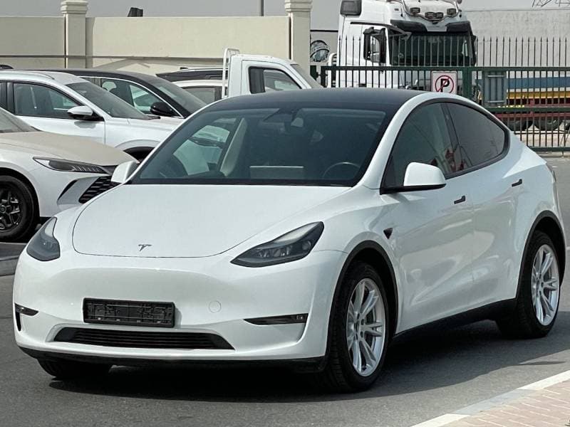 2024 Tesla Model Y LONG RANGE thumbnail 2