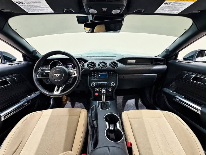 2022 Ford Mustang STANDARD thumbnail 7