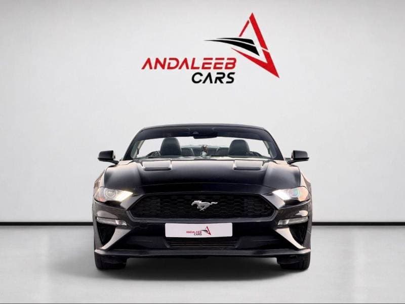 2022 Ford Mustang STANDARD thumbnail 2