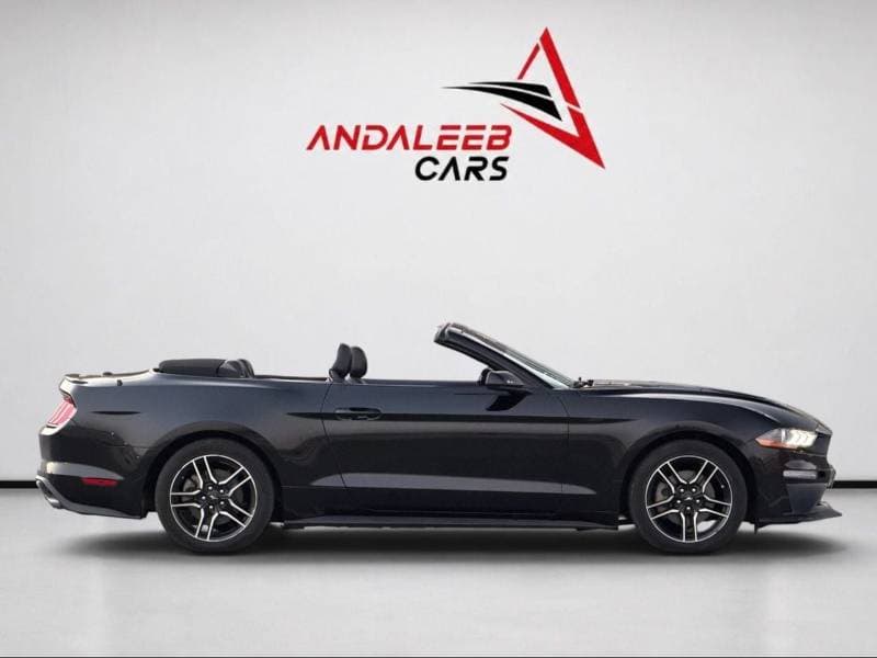 2022 Ford Mustang STANDARD thumbnail 8