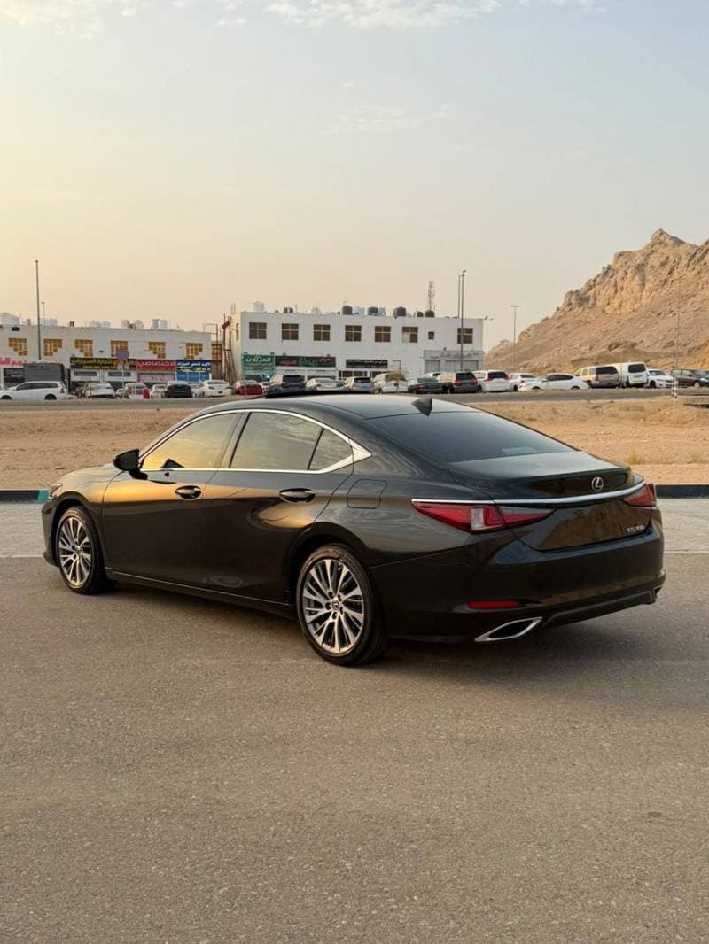 2020 Lexus ES350 PLATINUM thumbnail 4