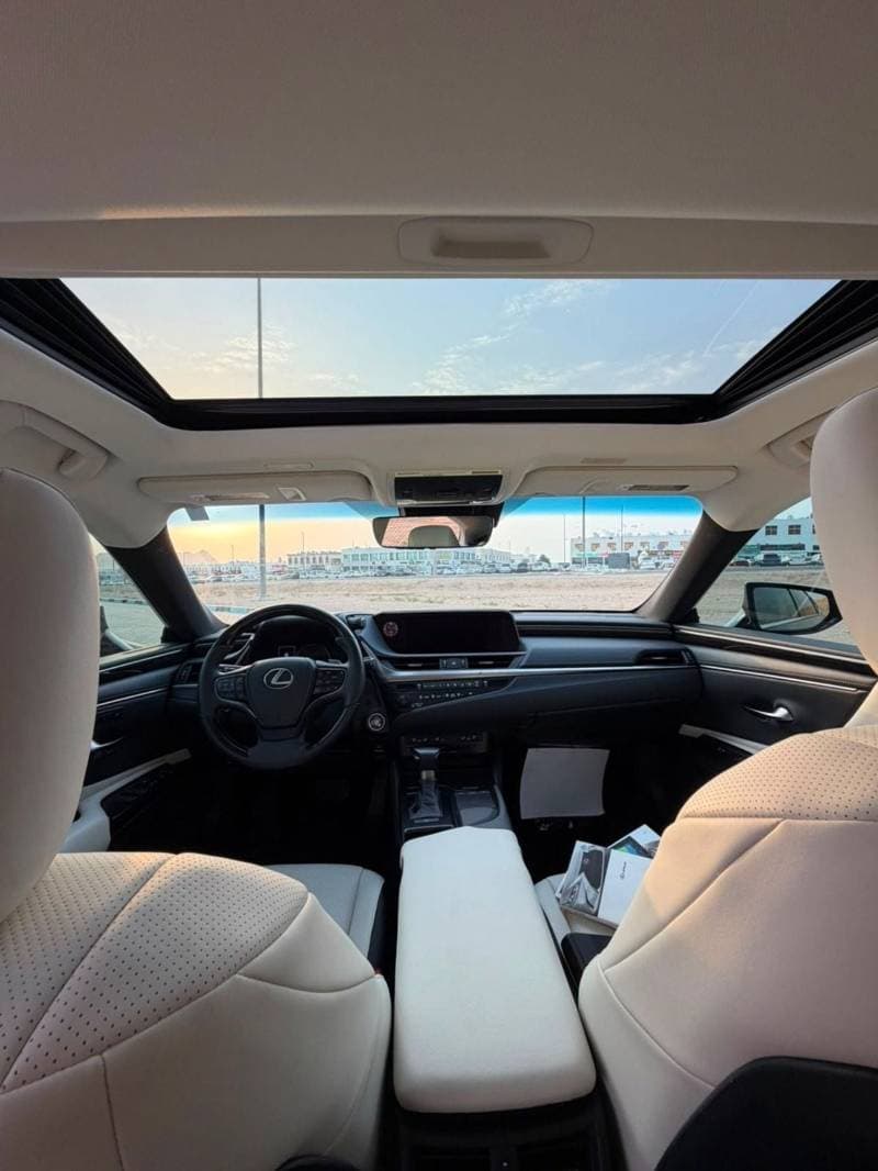 2020 Lexus ES350 PLATINUM thumbnail 8