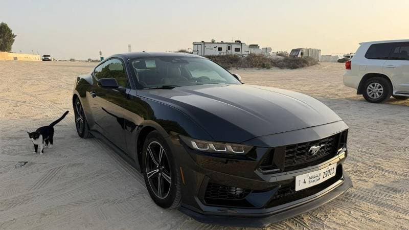 2024 Ford Mustang STANDARD