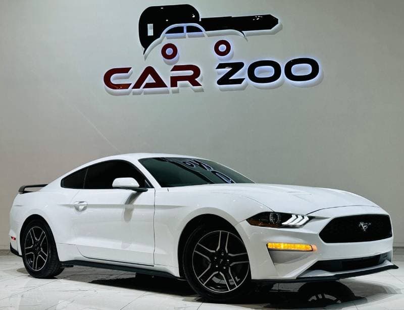 2022 Ford Mustang STANDARD thumbnail 8