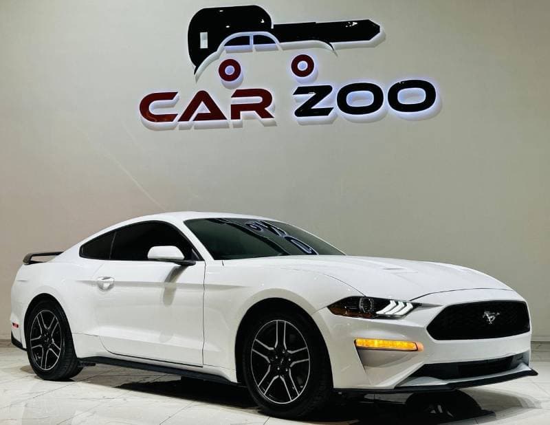 2022 Ford Mustang STANDARD thumbnail 3