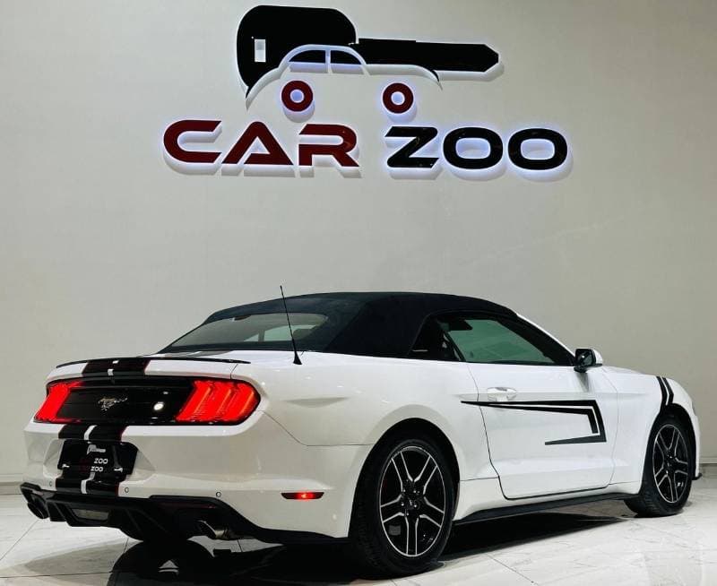 2022 Ford Mustang STANDARD thumbnail 6