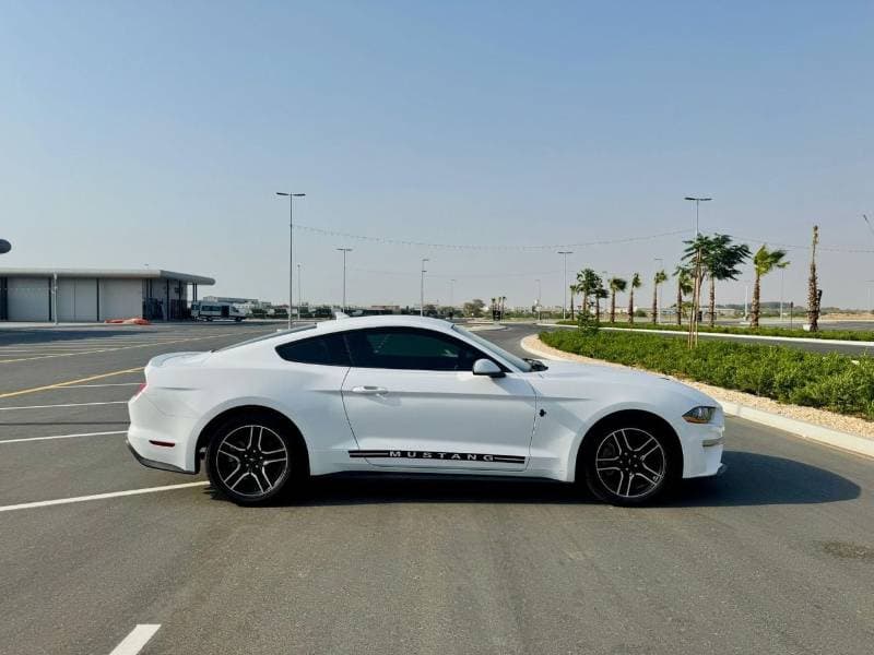 2021 Ford Mustang STANDARD thumbnail 5