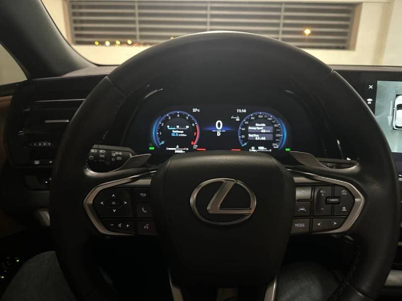 2025 Lexus RX350 PRESTIGE thumbnail 5