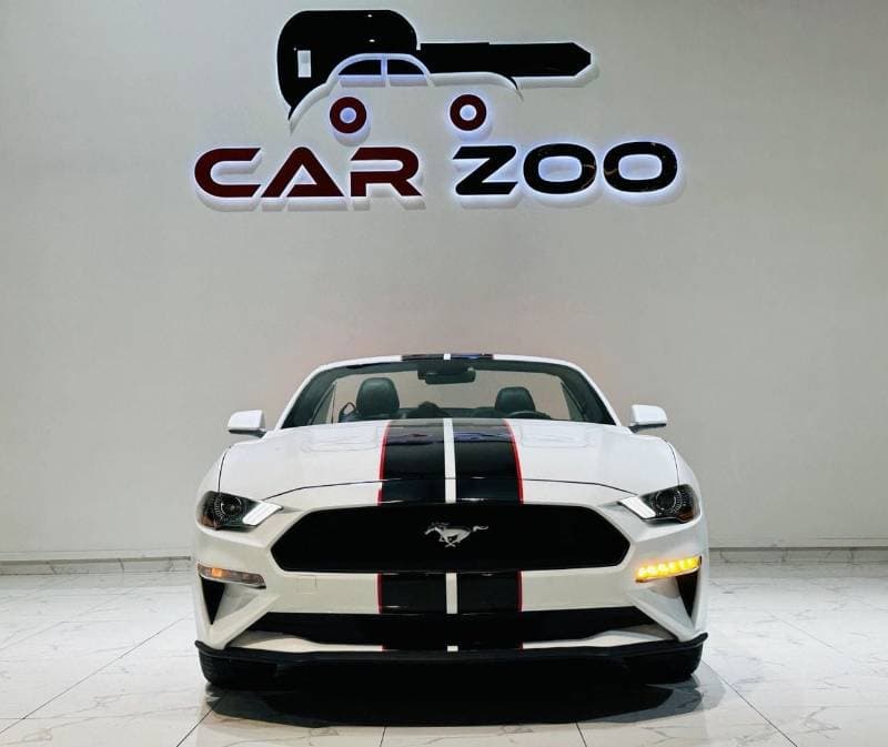 2022 Ford Mustang STANDARD thumbnail 8