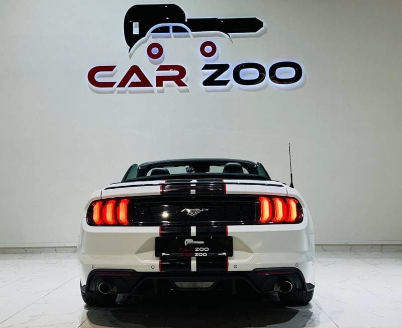 2022 Ford Mustang STANDARD thumbnail 5