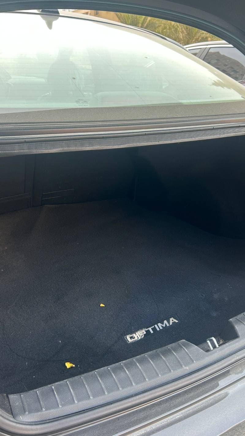 2015 Kia Optima EX thumbnail 6