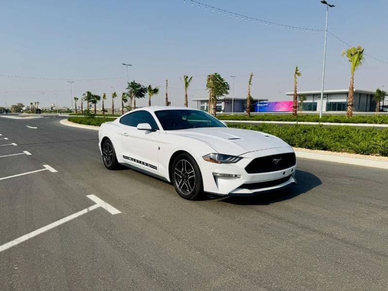 2021 Ford Mustang STANDARD thumbnail 4