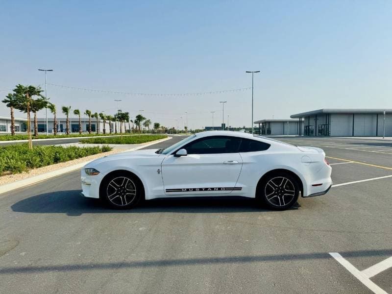 2021 Ford Mustang STANDARD thumbnail 6
