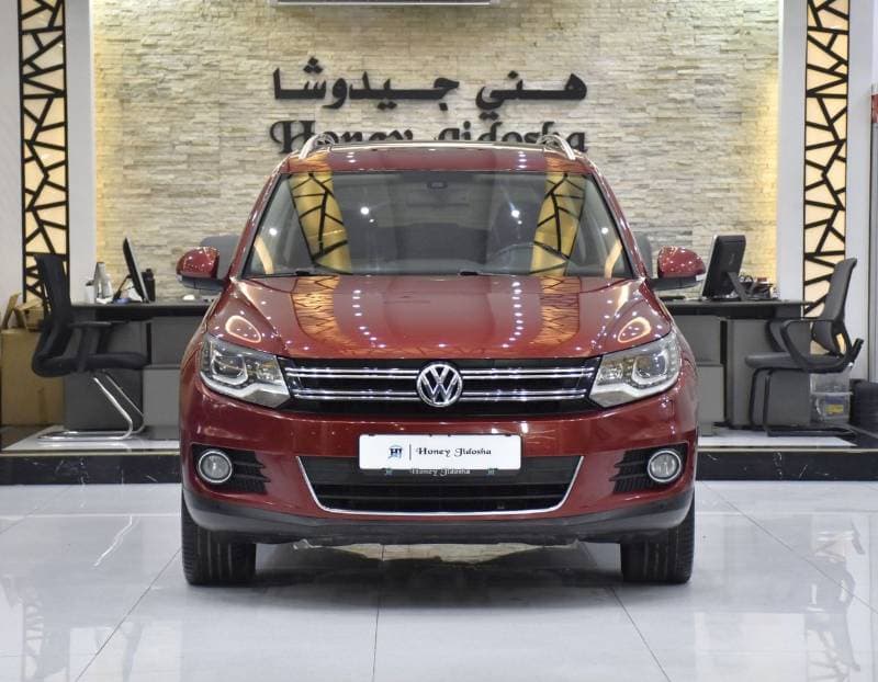 2014 Volkswagen Tiguan SEL thumbnail 2