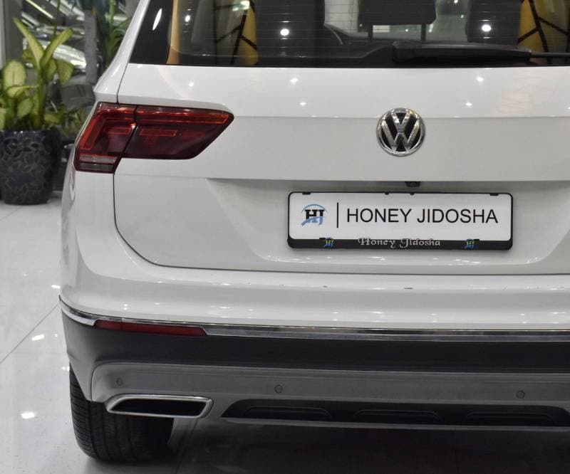 2019 Volkswagen Tiguan SEL thumbnail 8