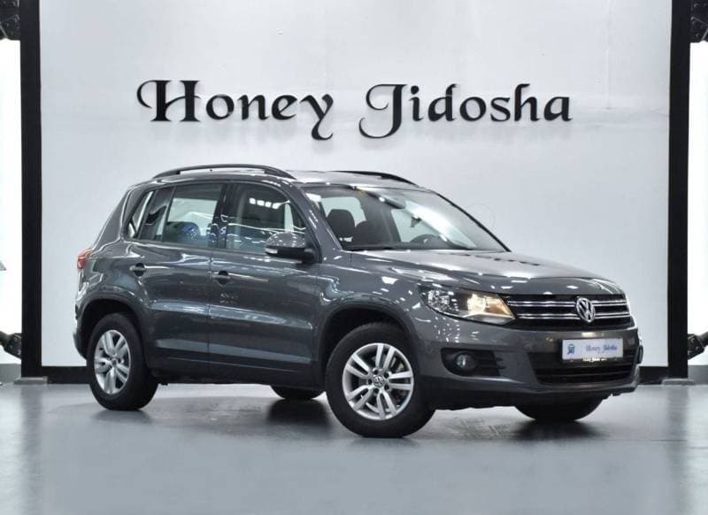 2016 Volkswagen Tiguan S thumbnail 3