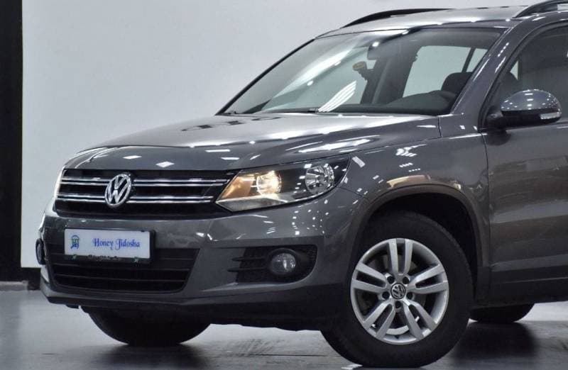 2016 Volkswagen Tiguan S thumbnail 5
