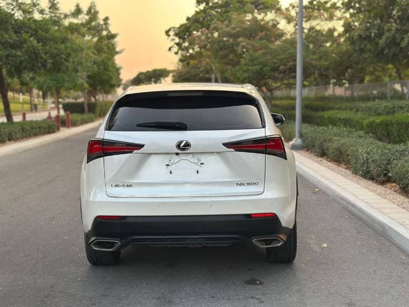 2021 Lexus NX300 PLATINUM thumbnail 6