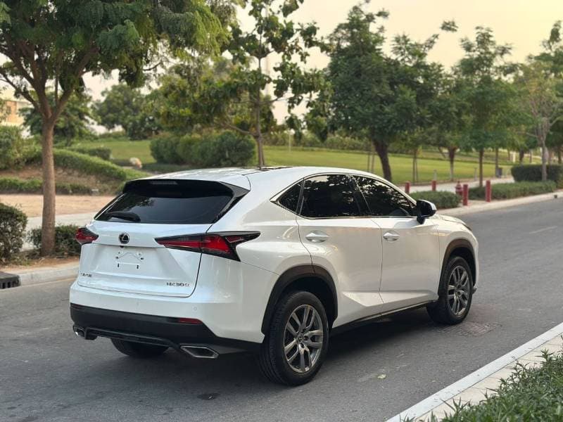 2021 Lexus NX300 PLATINUM thumbnail 5