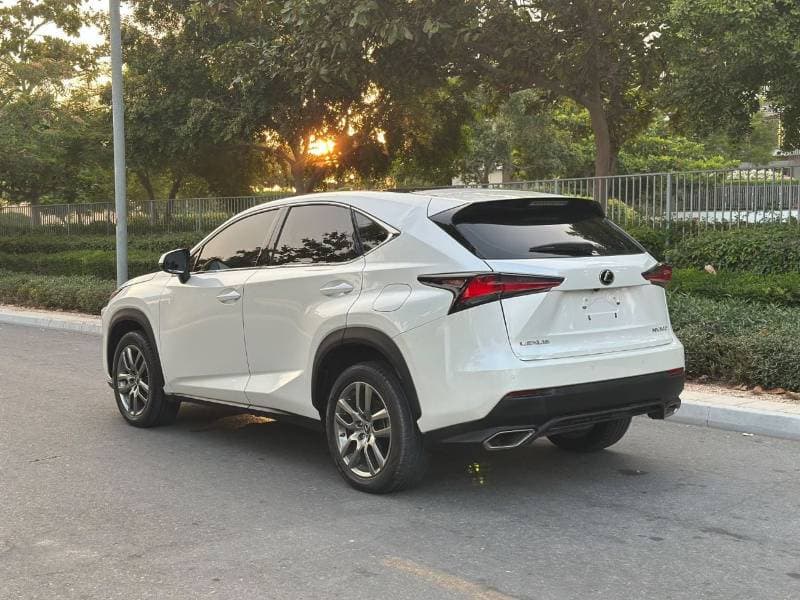 2021 Lexus NX300 PLATINUM thumbnail 3