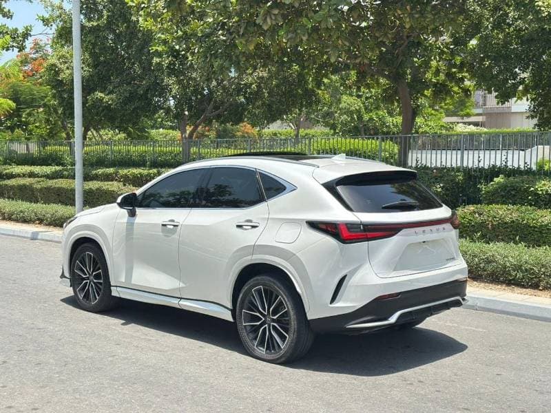 2025 Lexus NX350 PREMIER thumbnail 6