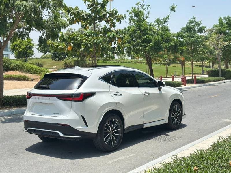 2025 Lexus NX350 PREMIER thumbnail 5
