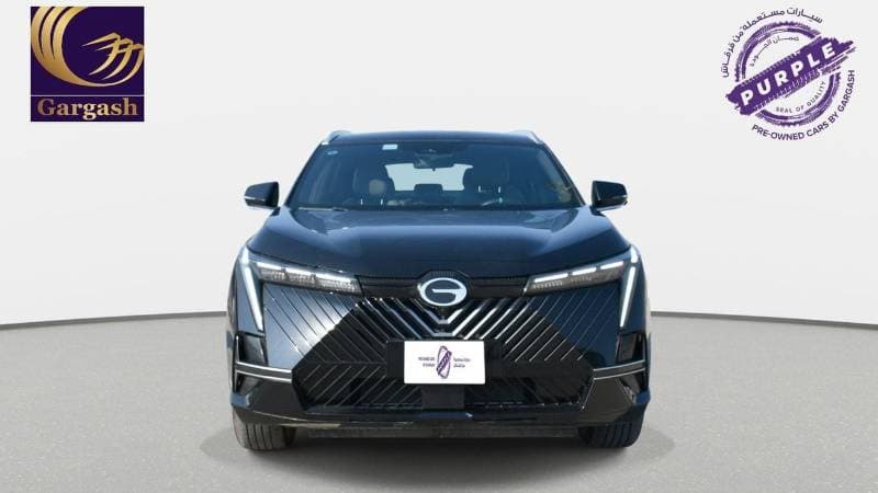 2024 GAC EMKOO GL thumbnail 2
