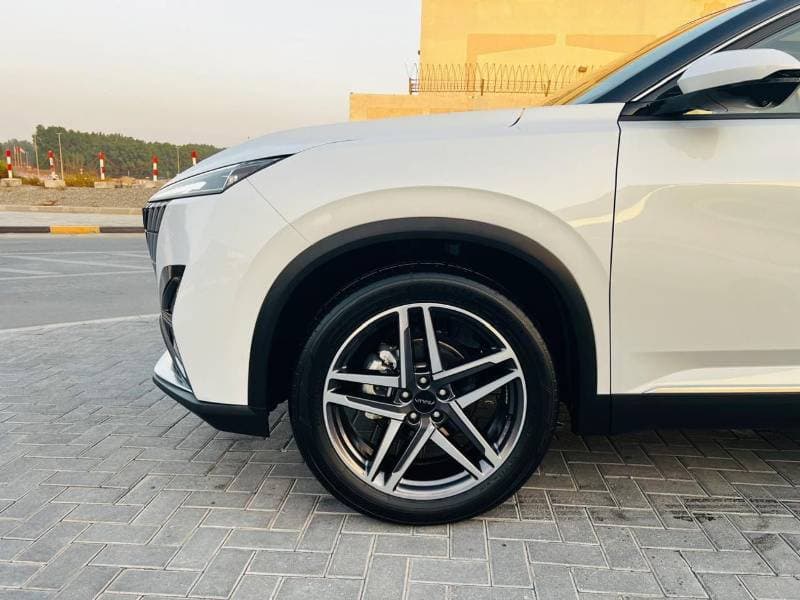 2026 Dongfeng Mage thumbnail 8