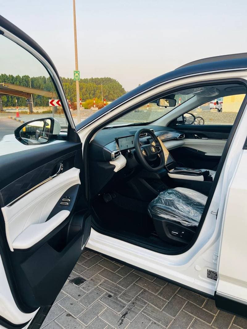 2026 Dongfeng Mage thumbnail 5