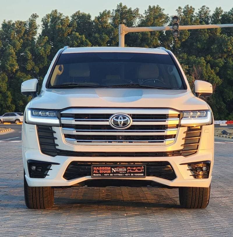 2010 Toyota Land Cruiser thumbnail 2