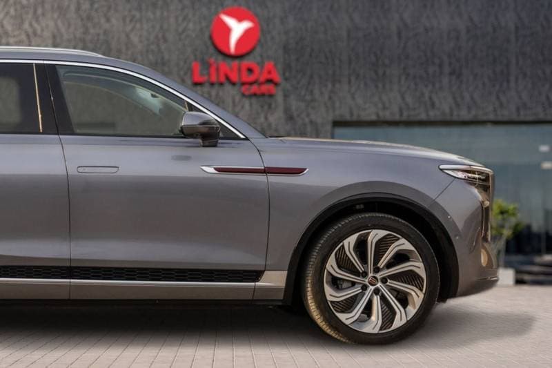 2024 HONGQI EHS9 HIGH thumbnail 8
