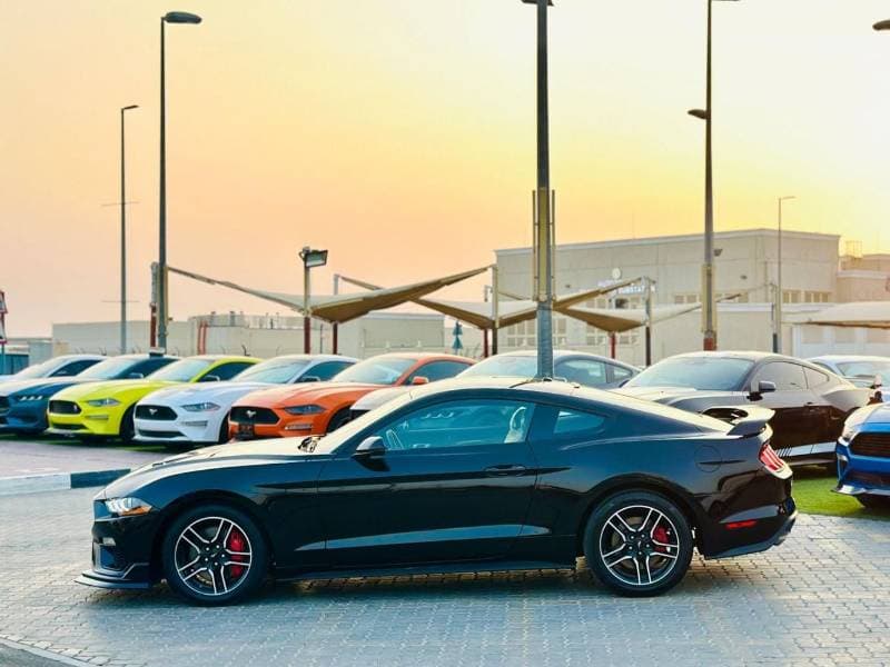 2019 Ford Mustang thumbnail 8