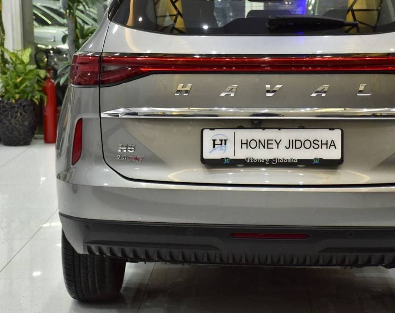 2023 Haval H6 BASIC thumbnail 8