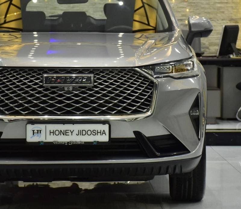 2023 Haval H6 BASIC thumbnail 4