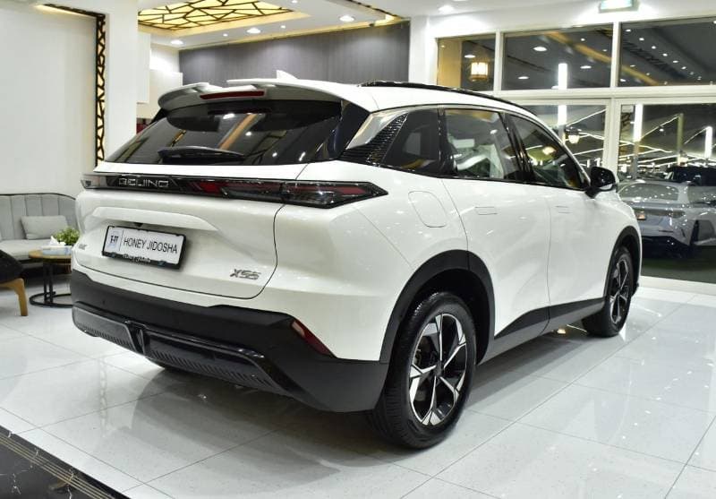 2024 BAIC X55 thumbnail 6
