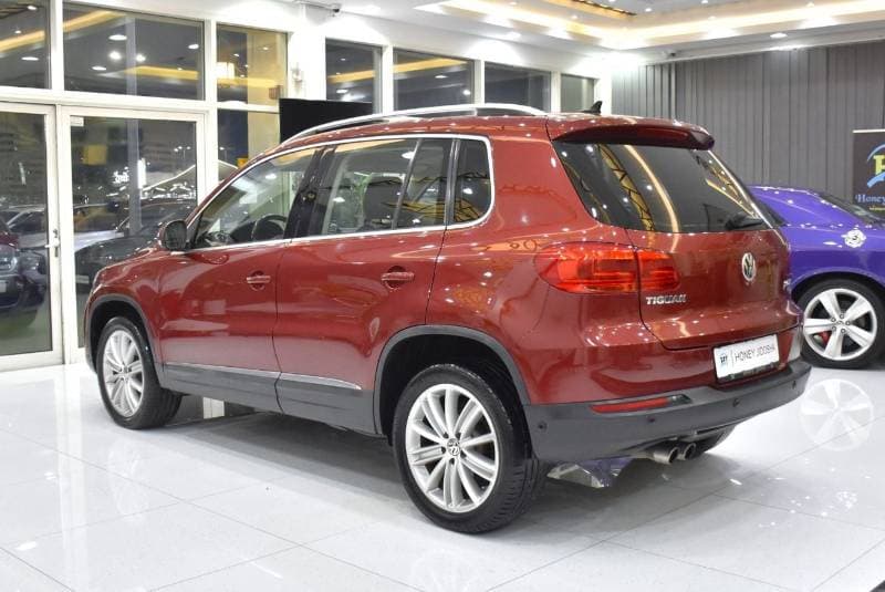 2014 Volkswagen Tiguan SEL thumbnail 7