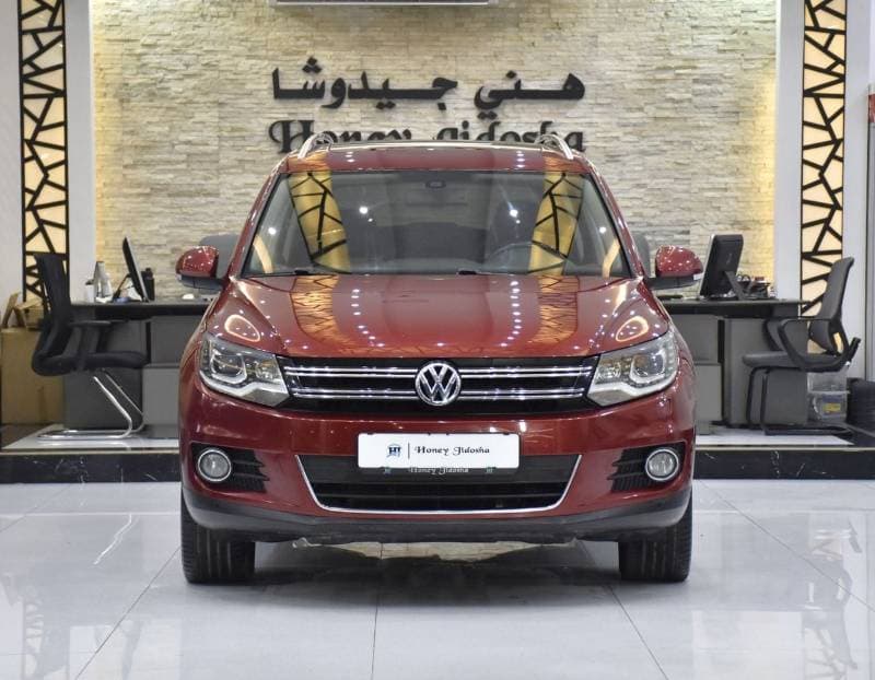 2014 Volkswagen Tiguan SEL thumbnail 2