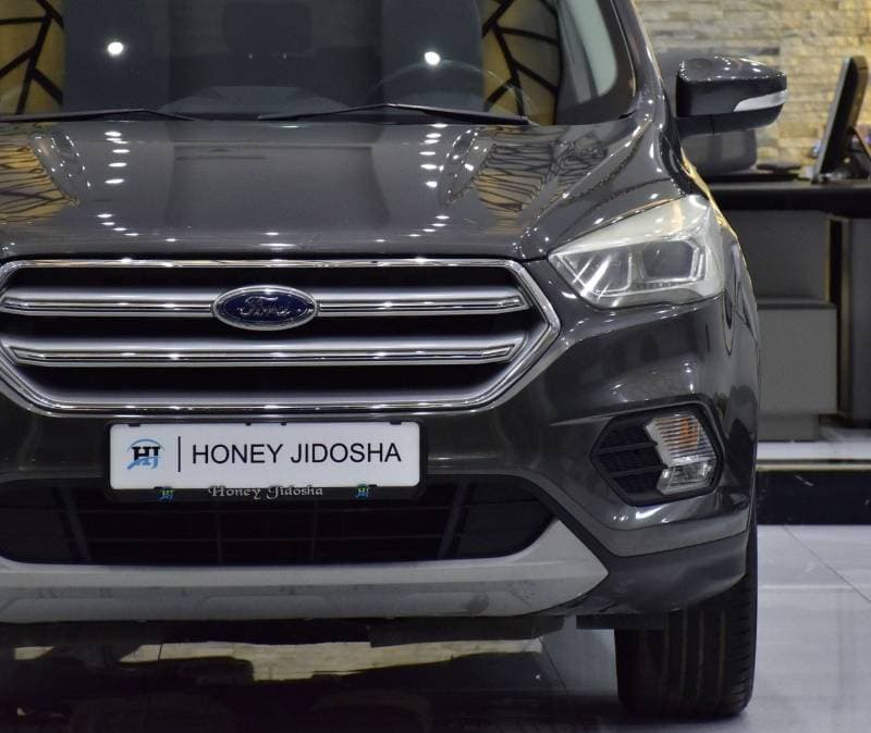 2019 Ford Escape TITANIUM thumbnail 4