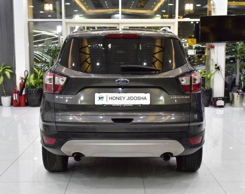 2019 Ford Escape TITANIUM thumbnail 5