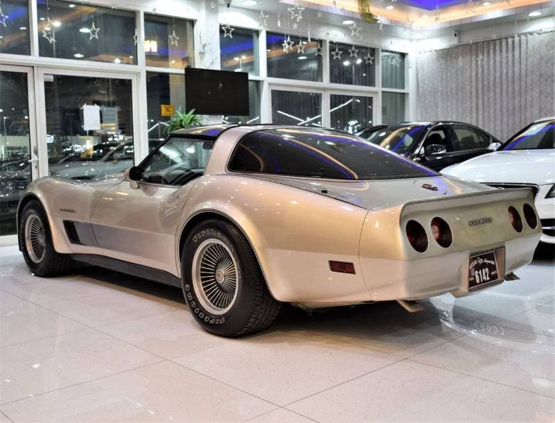 1982 Chevrolet Corvette STANDARD thumbnail 8