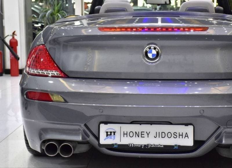 2008 BMW M6 STANDARD thumbnail 8