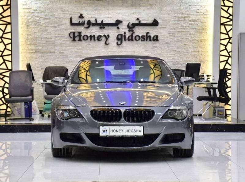 2008 BMW M6 STANDARD thumbnail 2