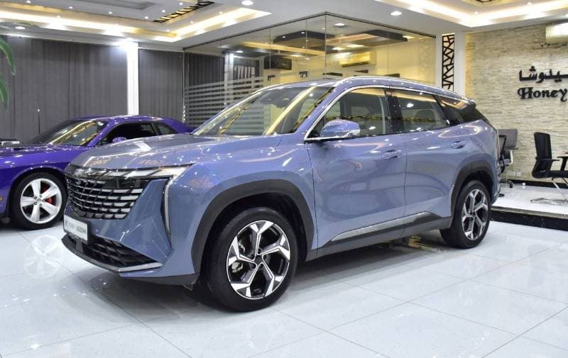 2025 Geely Starray GF PLUS thumbnail 3