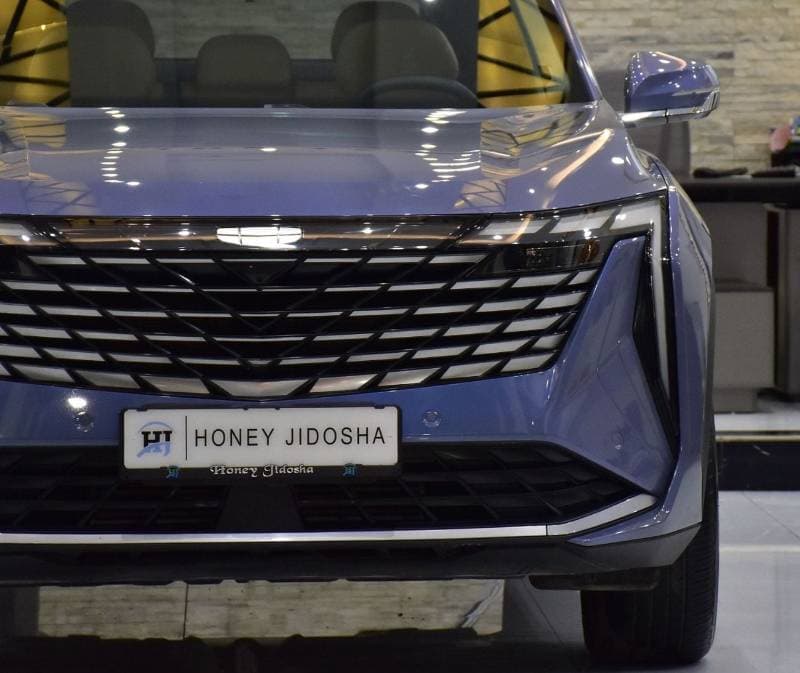 2025 Geely Starray GF PLUS thumbnail 4